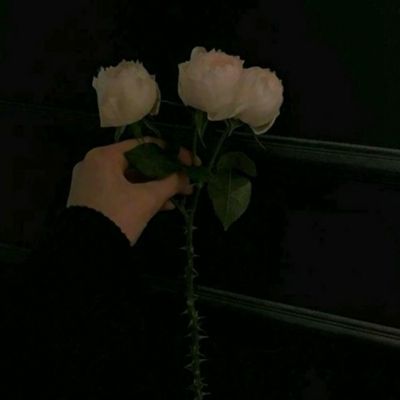 奇迹覆灭者无限钻石版下载